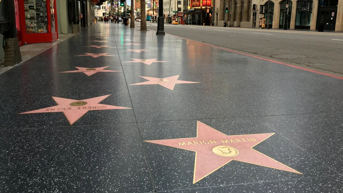 Un mare artist va primi o stea pe Walk of Fame