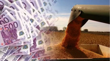 Cât grâu ucrainean a importat România de la 1 iulie 2023