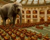 Ce înseamnă ”asumarea răspunderii”, de fapt? O explicație pentru cei care se gândesc la responsabilitate