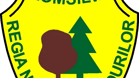 Regiei Naționale a Pădurilor - Romsilva: Nu facem concedieri