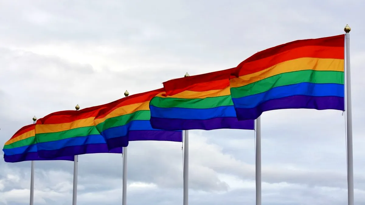 Proiect de lege împotriva comunităţii LGBT în Ungaria