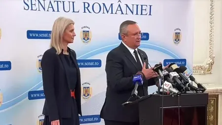 Descindere în forță a Curții de Conturi a României la Senat