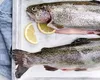 Un peşte românesc te ajută să-ţi menţii inima sănătoasă. Ce recomandă specialiştii