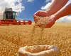 Producție agricolă excepțională: grâul duce recolta din România spre un record istoric