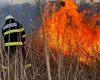 Flăcările devastează România. Zeci de hectare arse și comunități în pericol