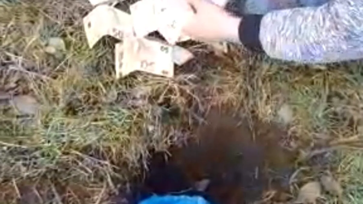 Un copil de 14 ani a dat o spargere și și-a îngropat ”prada” la marginea satului