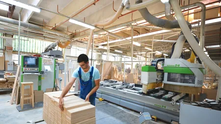 Famos, compania care l-a avut acționar pe Attila Verestoy, își închide fabrica