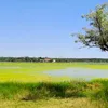 Lacu Sărat, invadat de „mătasea broaștei”. A scăzut salinitatea după alimentarea cu apă dulce din Dunăre?