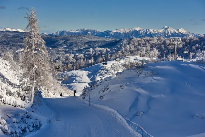 Vogel, Slovenia