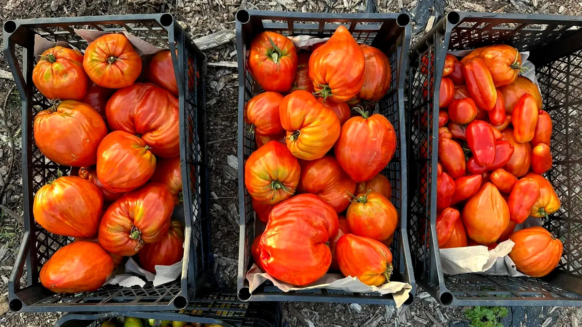 Planul agricol al suveranistului Călin Georgescu, demontat de o fermieră ce cultivă în sistem ecologic