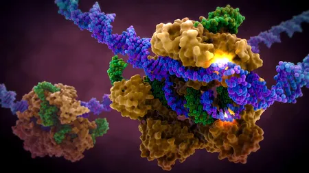 Terapie revoluționară cu celule modificate genetic, aplicată în premieră la Iași
