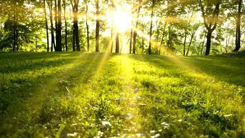 Astăzi este echinocţiul de primăvară. Ziua este egală cu noaptea şi începe primăvara astronomică