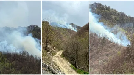 Incendiu de pădure în Argeş. Se intervine cu elicopterul Black Hawk (VIDEO)