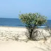 Explozie în Portul Constanța după autodetonarea unei drone marine. Alertă de securitate pe litoral și în Delta Dunării