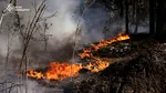 Incendiu de proporții la Cernobîl. Focul s-a extins la peste 1.100 de hectare