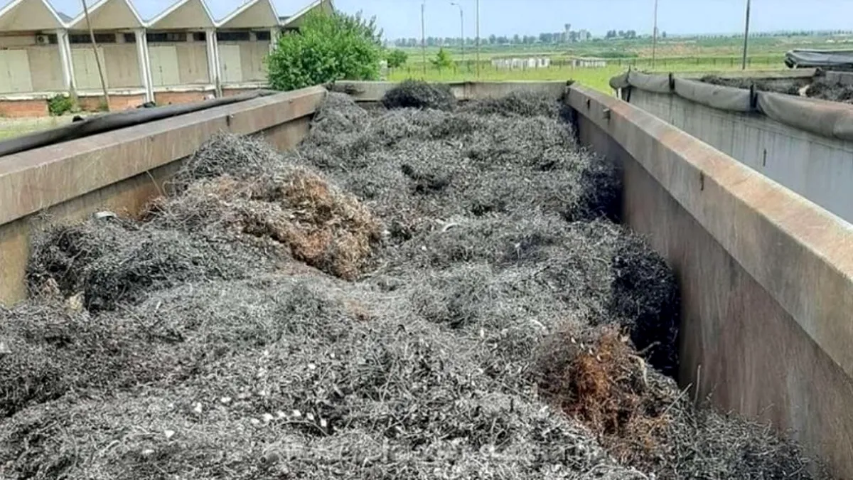 Captură la vama Girugiu: Trei autocamioane încărcate cu peste 64 de tone deşeuri din pilitură de fier au fost oprite