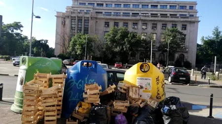 Criza gunoiului continuă în Sector 1, soluțiile întârzie