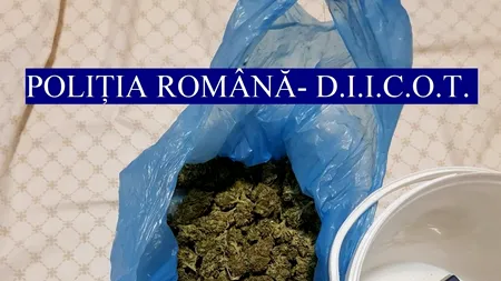 Descinderi la o grupa specializată în trafic de droguri. Substanțele interzise erau aduse din Spania (VIDEO)