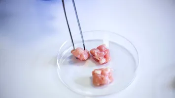 Crești carne acasă fără animale: gadgetul care transformă bucătăria în laborator