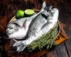 Până la sfârșitul secolului, peștele va deveni o delicatesă doar pentru bogați, prevăd oamenii de știință