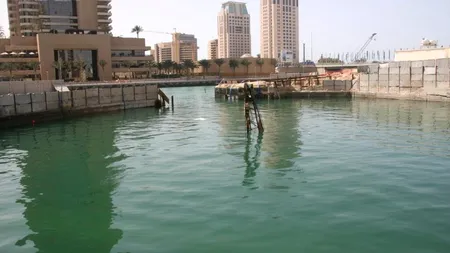 Șapte persoane moarte în inundațiile din Emiratele Unite