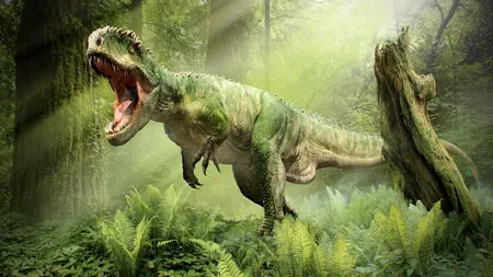 S-a redescoperit un sit unic al dinozaurilor în regiunea Transilvaniei