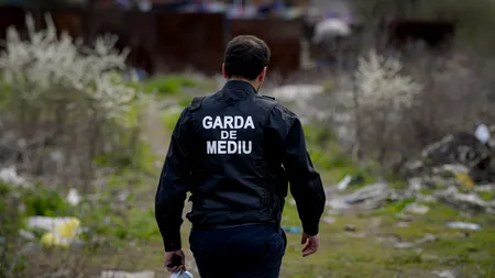 Amenzi pentru constructorul Autostrăzii A7: Nereguli grave descoperite de Garda de Mediu