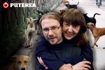 Capturarea unui câine maidanez la Ploiești costă mult mai mult decât alocația unui copil
