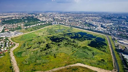 București: Concurs internațional de soluții pentru Lacul Morii și Parcul Natural Văcărești