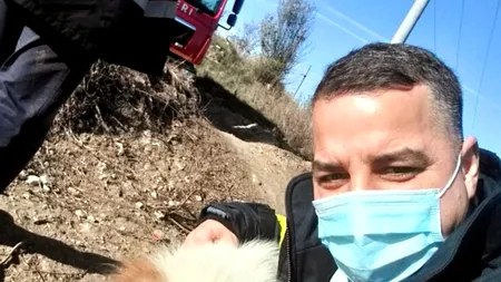 Cum a fost salvat un câine Saint-Bernard orb de pompieri, după ce a căzut într-un lac (foto)