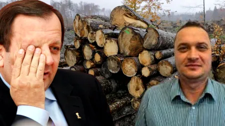 Mafia lemnului din Suceava, girată de Gheorghe Flutur, în vizorul DIICOT