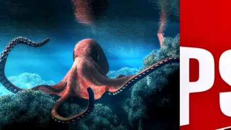 Caracatița roșie își întinde tentaculele peste funcțiile publice! ”Colecția” de sinecuri PSD