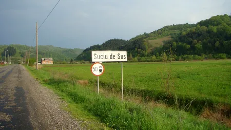 Cum l-au fugărit crescătorii de bivoli din Maramureș pe primarul din Suciu de Sus. De unde a pornit scandalul