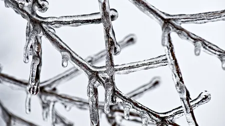 Siberia va atinge temperaturi istorice de Anul Nou. Meteorologii anunță -50 de grade