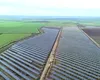 Doral Energy, care deține cel mai mare proiect solar din SUA, dezvoltă două parcuri fotovoltaice în Brăila și Călărași