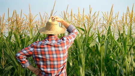 INS: cât au produs agricultorii români în 2023