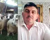 Revolta ciobanilor la adresa șefului ANSVSA: „Am ajuns să importăm miei din Noua Zeelandă și Australia”