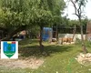 Grădină zoologică ilegală, descoperită într-o curte din Dâmbovița. Animale sălbatice ținute în captivitate, în condiții mizere