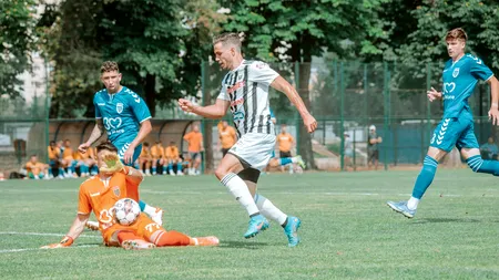Alexandru Chipciu, mesaj dur pentru Dan Petrescu: 