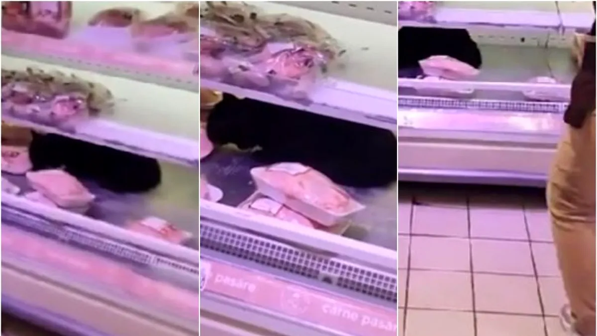 Reacția Carrefour, după filmulețul cu pisica neagră: S-a întâmplat pe 1 mai, într-o zonă de case (VIDEO)