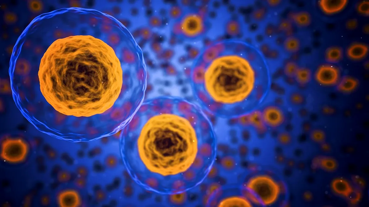 Cercetătorii israelieni au descoperit un sistem anticancer în celulele umane