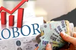 Vești proaste pentru cei cu rate variabile: ROBOR a sărit la 5,94%. Ce înseamnă asta