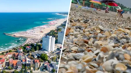 Adio, vouchere de vacanță! Angajații care nu mai primesc tichetele în 2025
