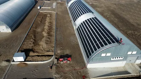 O hală de ambalare legume dintr-o comună din România, acoperită de panouri fotovoltaice. Care este valoarea totală a investiţiei agricultorilor (FOTO)