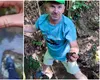 Racul din Munţii Apuseni. Descoperire făcută de un cercetător din Bihor