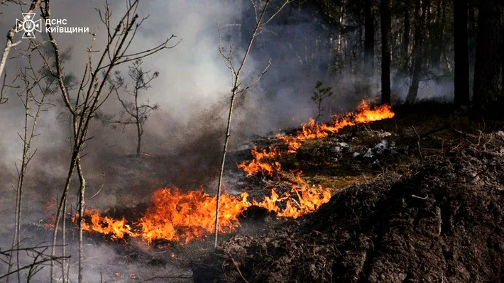 Incendiu de proporții la Cernobîl. Focul s-a extins la peste 1.100 de hectare
