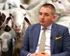 Alexandru Bociu taie în carne vie: Dă oameni afară și restructurează ANSVSA