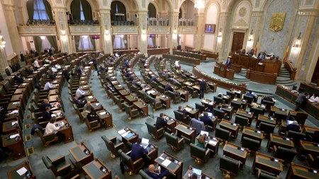 Niciun membru al Biroului Permanent de la Senat nu și-a depus declarația de avere și de interese