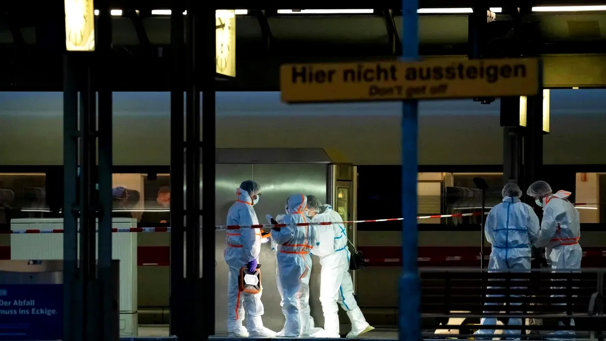 Furia unei walkirii. O femeie din Hamburg a atacat 18 oameni cu cuțitul (Video)