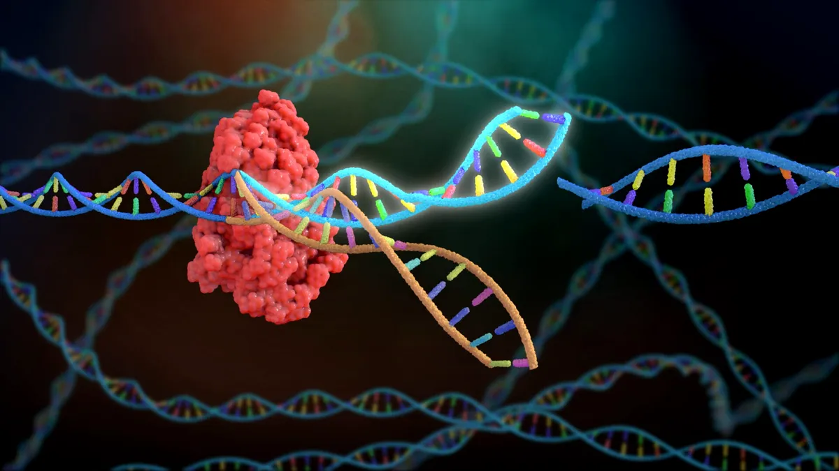 Mutațiile unor  gene implicate în cancer, ”reduse la tăcere”